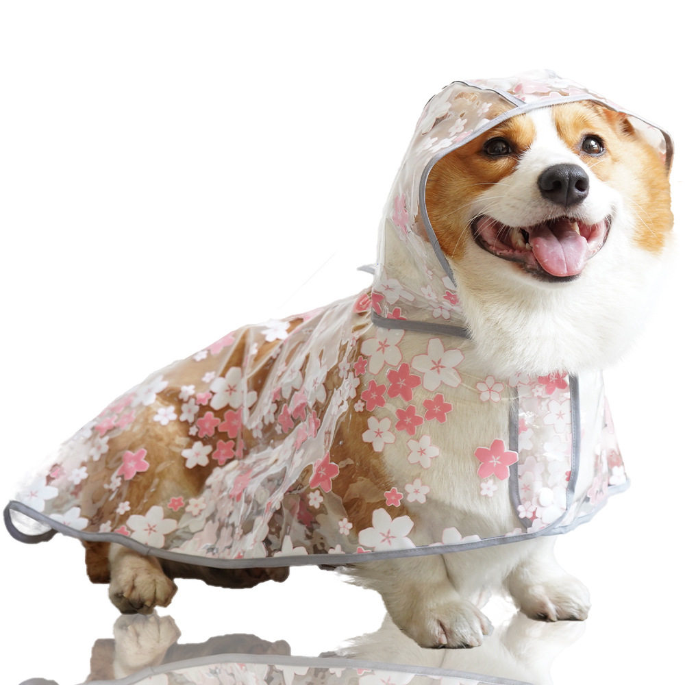 宠物雨衣户外柯基泰迪中小型犬狗狗雨衣防水磨砂透明樱花印花雨披