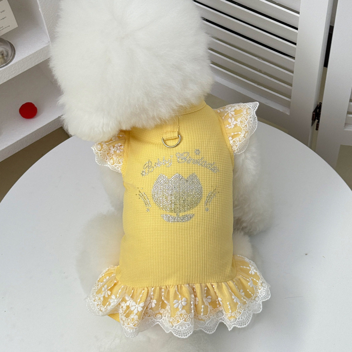 春夏新款宠物狗狗猫咪衣服泰迪精品烫钻木耳蕾丝花边小香风公主裙