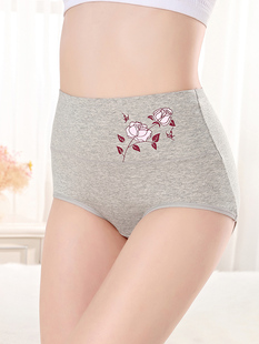 Ladies Underwear Panties Lingerie Plus Women Briefs size For