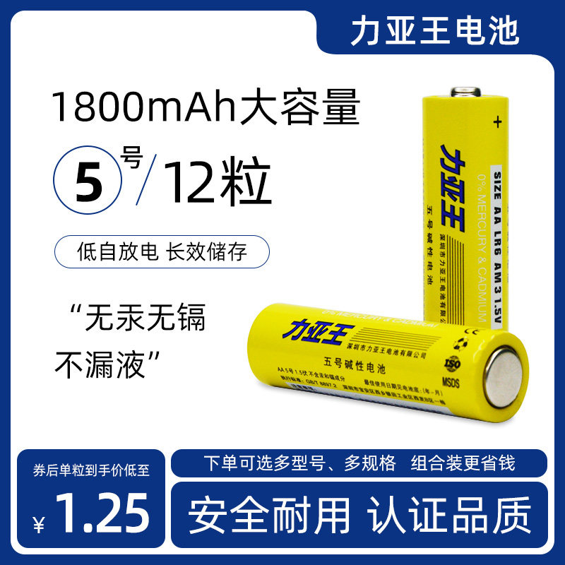 大容量5号碱性电池1800mAh毫安时智能门锁KTV话筒耐用型干电池