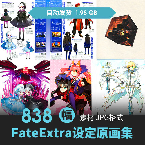 Fate Extra Visual Fanbook设定集6册人物原插画游戏动漫线稿素材