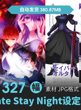 FateStay Night命运之夜天之杯设定人物场景原画动漫手绘线稿素材