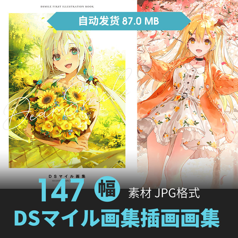 dsマイル画集 dear smile美少女立绘人物场景原插画游戏动漫素材