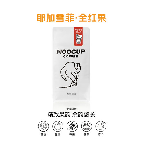 埃塞俄比亚耶加雪啡水洗G1咖啡豆