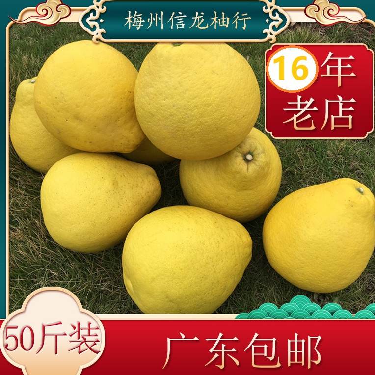正宗广东梅州沙田柚客家土特产老树甜柚梅县金柚农家自产纯甜柚子,水产肉类/新鲜蔬果/熟食,柚子,淘宝优惠券,粉丝福利购,淘宝优惠卷