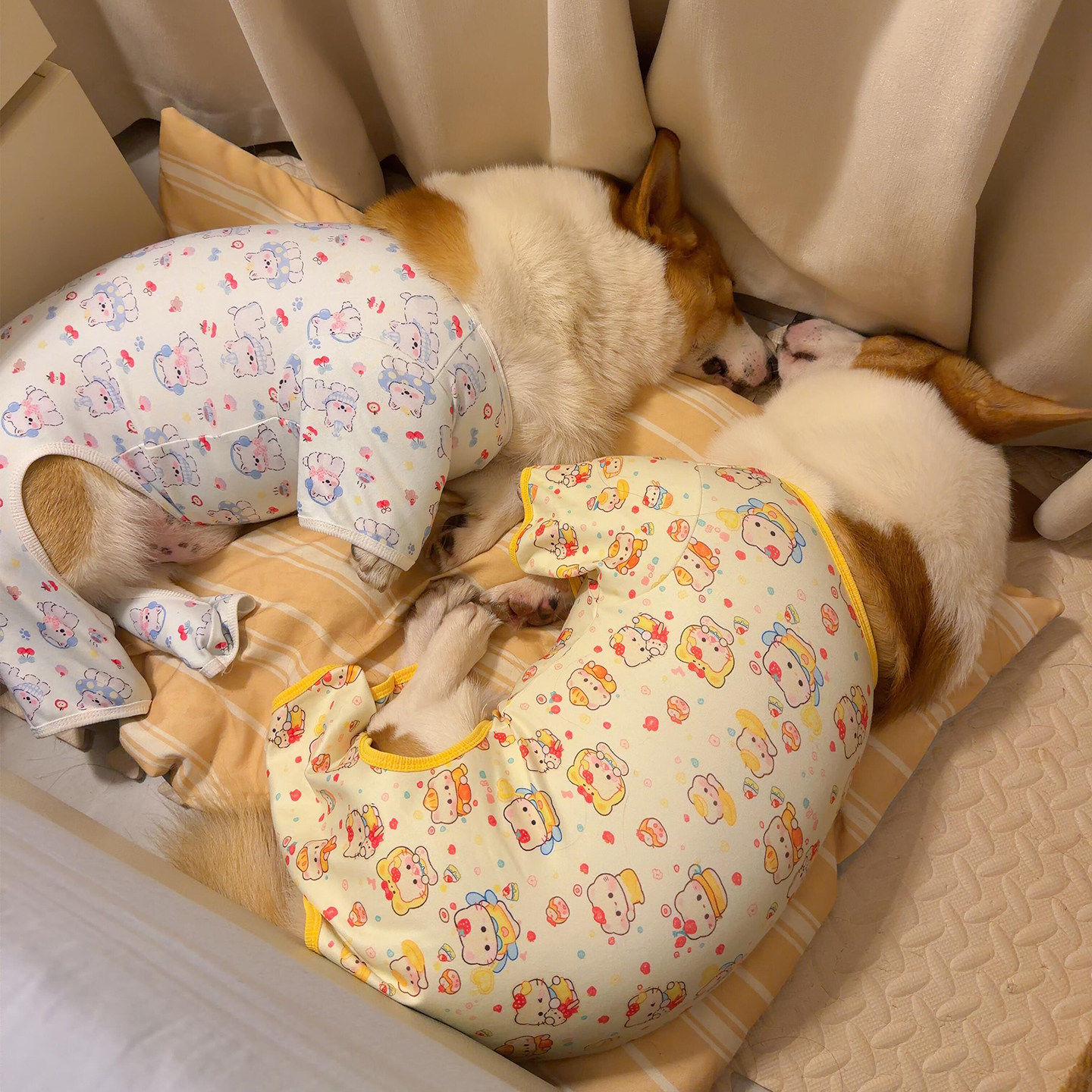 狗狗衣服小型犬大型犬防掉毛防脏睡衣柯基泰迪金毛室内四脚家居服