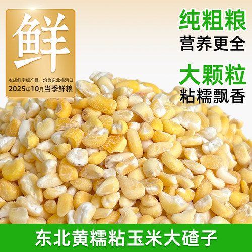 东北黄糯粘玉米大碴子粗粮大颗粒