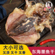 新货东海墨鱼干半淡小目鱼干需泡水煲汤中号温州海鲜干货