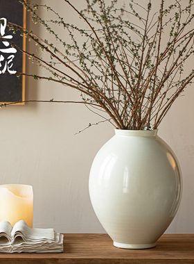 白色陶瓷花瓶月亮罐水培插干燥花客厅花器高级感陶罐饭厅民宿摆件