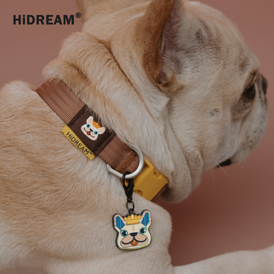 HiDREAM遛遛大顺身份牌图案项圈