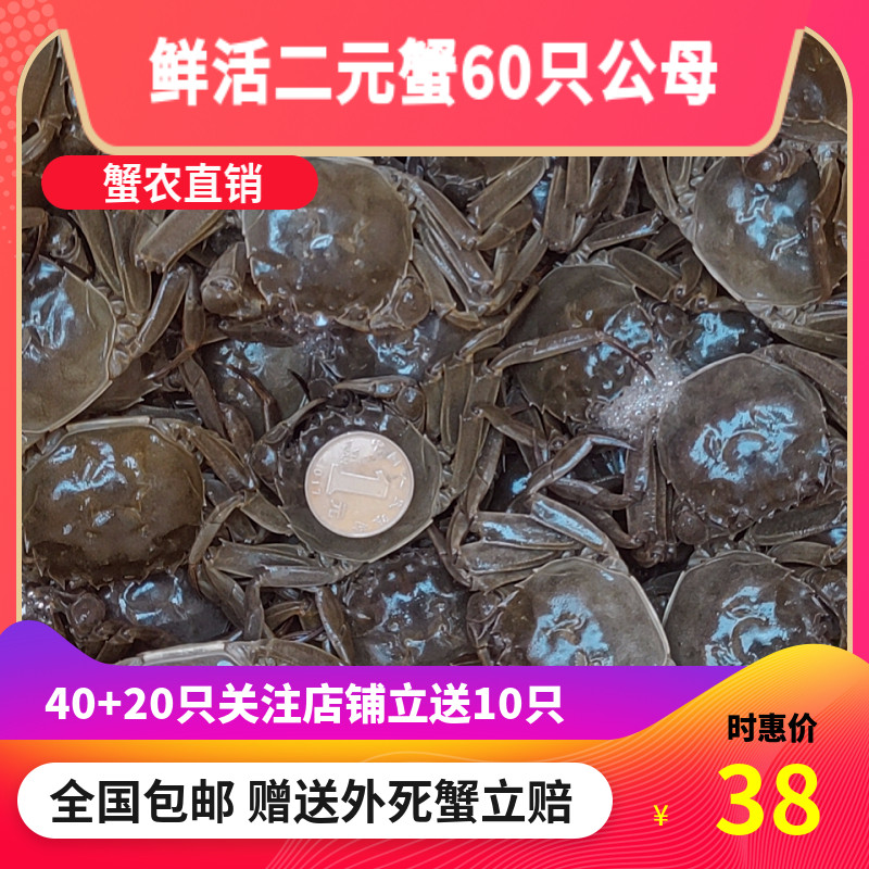 六月黄鲜活水产二一元蟹活螃蟹大闸蟹小螃蟹小闸蟹小河蟹香辣包邮