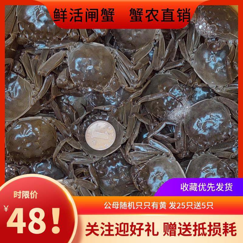 25元买60只鲜活大螃蟹常年有货