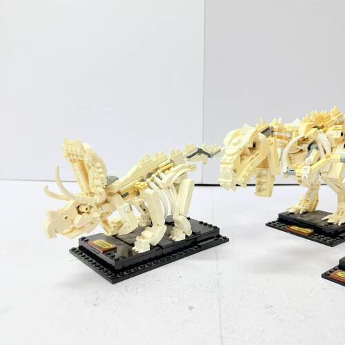 (二手）正品乐高21320LEGO拼装积木玩具ideas想象系列恐龙化石