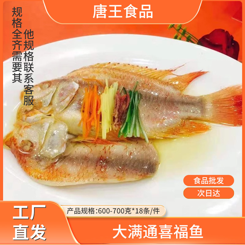 大满通喜福鱼 整箱18条 新鲜冷冻鱼肉腌制烤鱼 商用食材600-700克