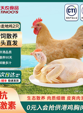 天农清远竹林走地鸡800g*2只农家谷饲散养90天土鸡母鸡整鸡火锅鸡