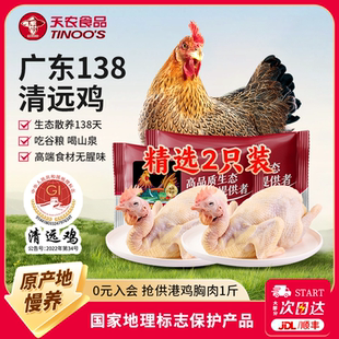 2新鲜土鸡母鸡煲汤 天农广东正宗138天清远鸡600g 林依轮推荐