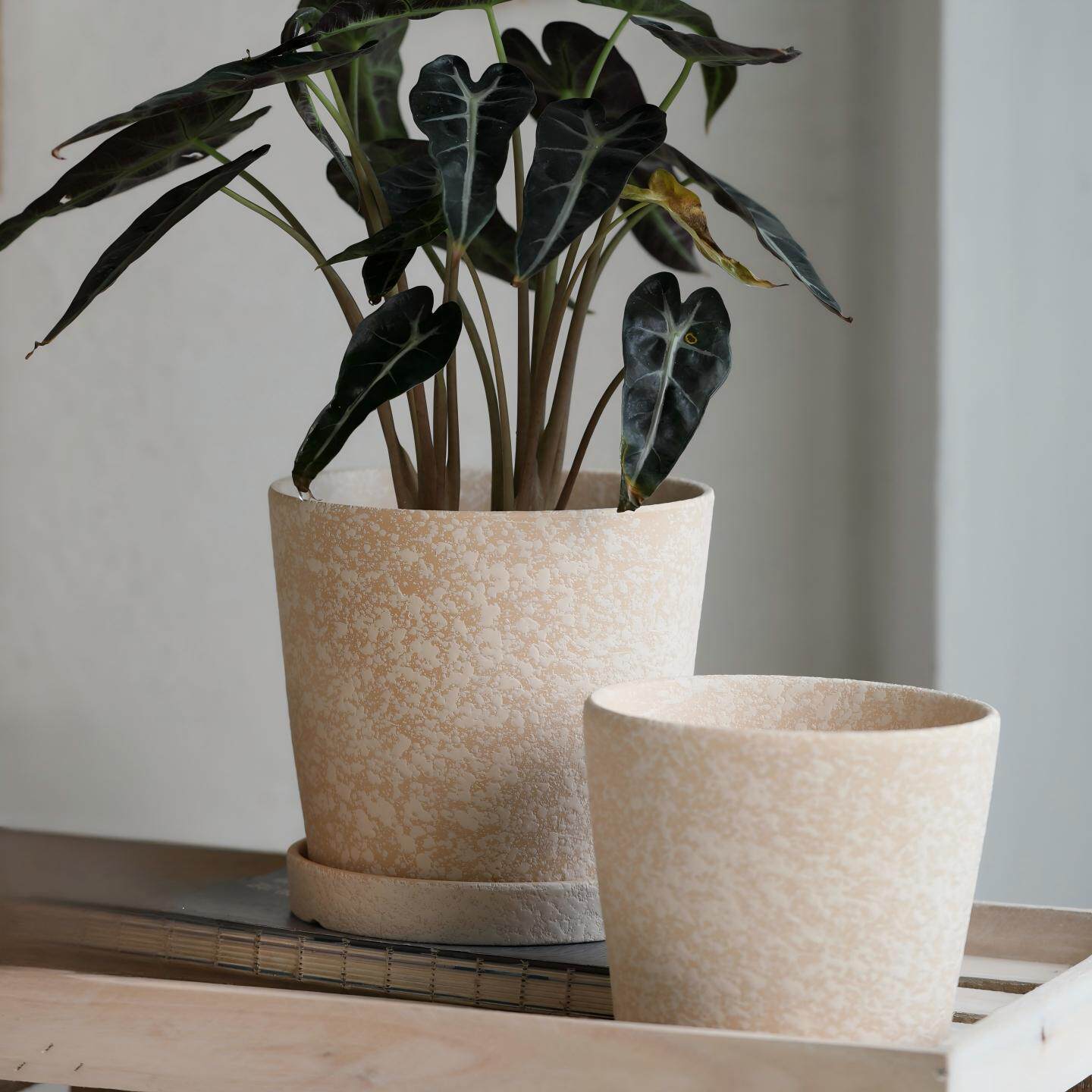 素烧粗陶黄陶土花盆陶泥浆粗面透气陶瓷自吸水带托盘球根植物盆栽