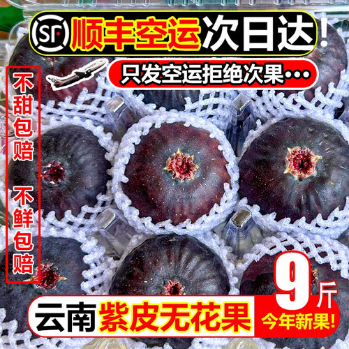 【只发顺丰空运】次日达紫无花果