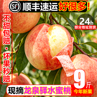 【顺丰冷鲜】正宗龙泉驿水蜜桃9斤新鲜水果红桃超甜爆汁白凤撕皮