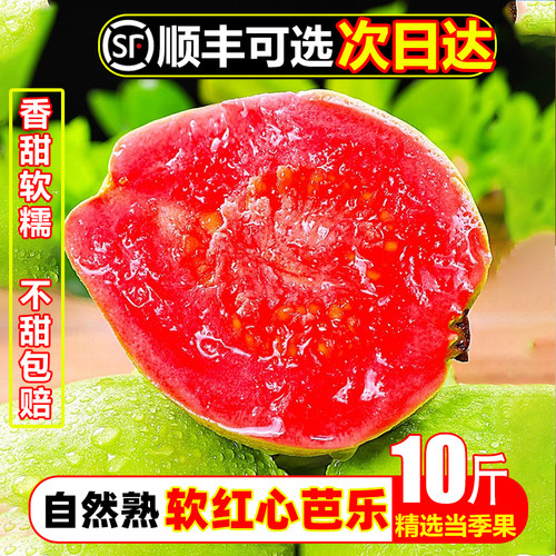 生鲜原产神店榜【TOP】SF次日达