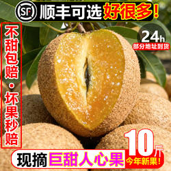 巨甜人心果10斤新鲜罕见稀有热带水果当季整箱孕妇满天星非人参果