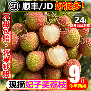 【顺丰次日达】妃子笑甜荔枝9斤