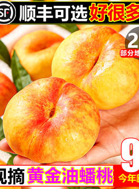 【顺丰次日达】纯甜油蟠桃9斤