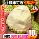 包邮 牛奶凤梨释迦10斤新鲜水果佛头牟尼果热带番荔枝孕妇当季 整箱