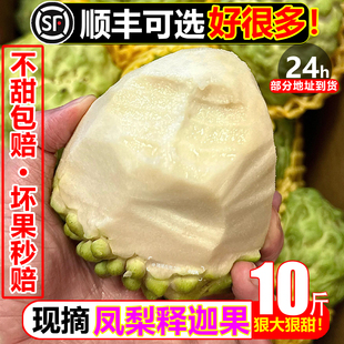 牛奶凤梨释迦10斤新鲜水果佛头牟尼果热带番荔枝孕妇当季整箱包邮
