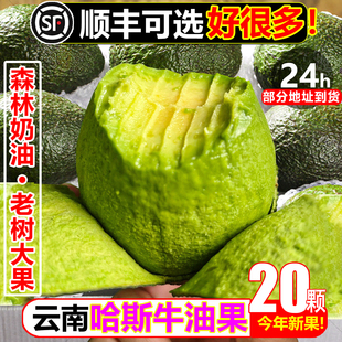 哈斯牛油果30个新鲜水果鳄梨孕妇宝宝辅食软糯森林奶油整箱即食果