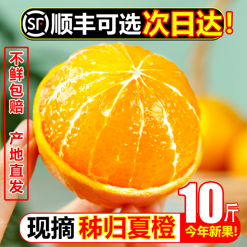 【顺丰可选次日达】秭归夏橙10斤