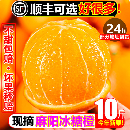 【顺丰助农】纯甜麻阳冰糖橙10斤
