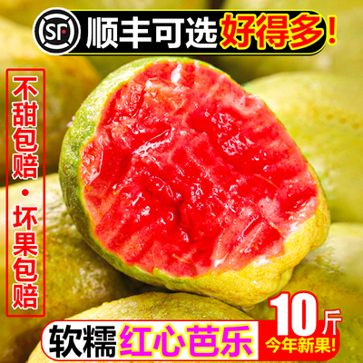 【顺丰次日达】软糯红心芭乐10斤
