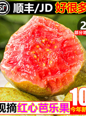 【顺丰次日达】软糯红心芭乐10斤