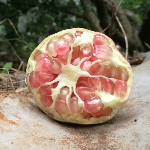 特大石榴水果新鲜9斤云南蒙自