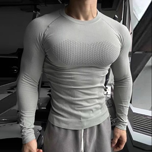 Light T恤 Weight专业无缝显大膨胀健身服男透气速干吸湿紧身长袖