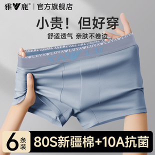 男纯棉透气抗菌裆男生四角裤 头2025新款 短裤 平角裤 衩薄款 雅鹿内裤