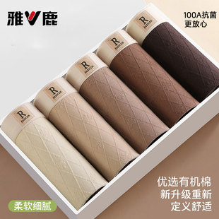 内裤 2025新款 平角裤 四角短裤 衩抑菌舒适透气男生男款 雅鹿纯棉男士