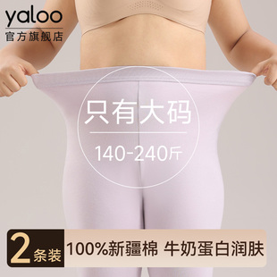 打底全棉毛裤 雅鹿纯棉秋裤 宽松冬季 200斤胖mm女款 女士加肥加大码