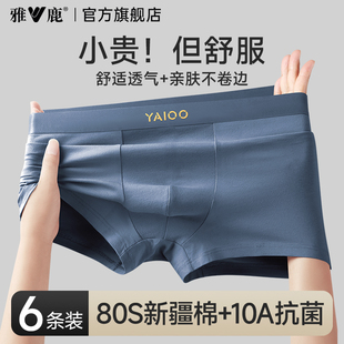 内裤 衩2025新款 男生纯棉抗菌裆平角短裤 透气四角裤 头男款 雅鹿男士
