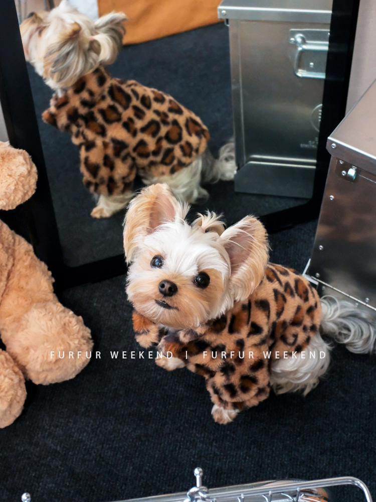 Fur秋冬宠物服狗狗潮款复古保暖仿皮草豹纹加绒加厚新款夹克外套,宠物/宠物食品及用品,狗宠物服装/雨衣,淘宝优惠券,粉丝福利购,淘宝优惠卷