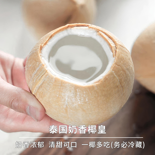豆尚果品泰国奶香椰皇椰香浓郁煲鸡汤应季新鲜水果椰子整箱顺丰