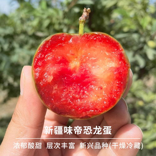 豆尚果品新疆味帝恐龙蛋