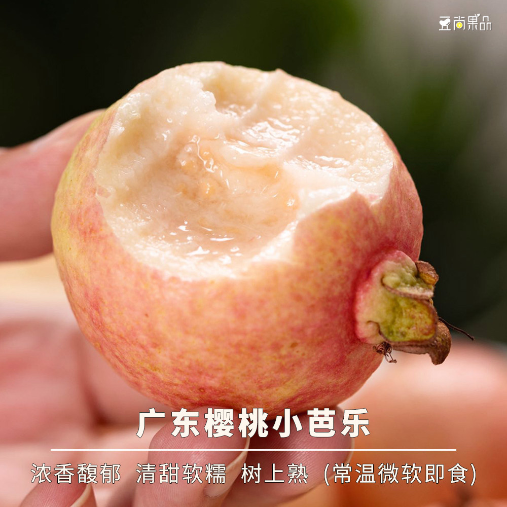 豆尚果品广东樱桃芭乐清甜软糯浓香鸡屎果小颗番石榴树熟即食冷藏,水产肉类/新鲜蔬果/熟食,石榴,淘宝优惠券,粉丝福利购,淘宝优惠卷