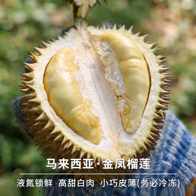 马来西亚金凤榴莲小巧皮薄高甜