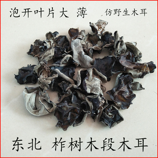 东北仿野生山木耳 木耳 山木耳 柞树木段木耳 木耳 黑木耳 250克