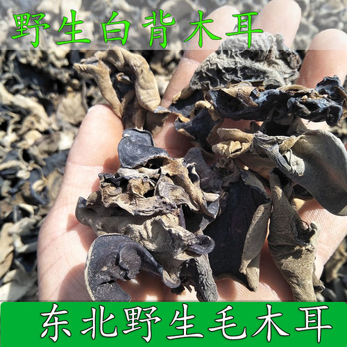 白背木耳毛木耳野生新货