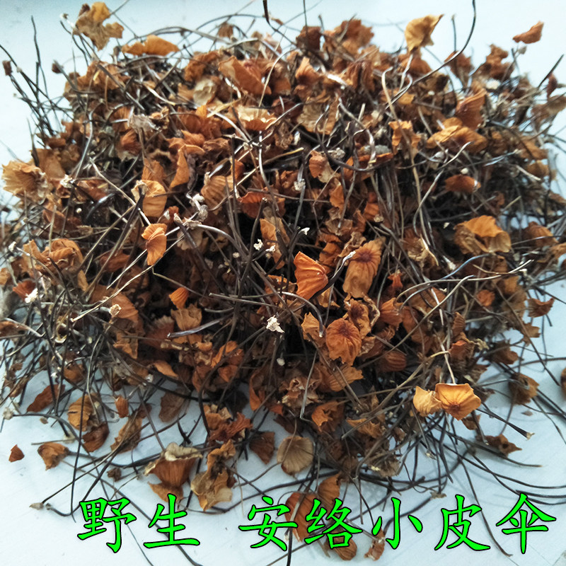 野生安络小皮伞 鬼毛针菌 安络小皮伞菌100克安络小皮伞产地发货