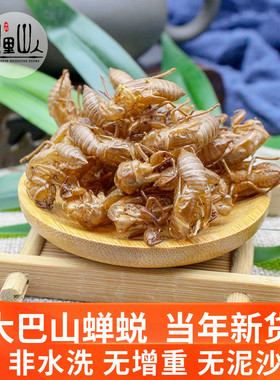 大巴山野生药材蝉蜕金蝉衣知了皮知了壳50克新鲜无增重无泥土包邮