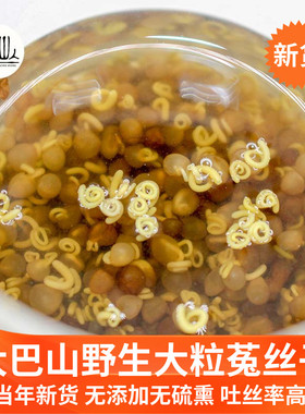 大巴山野生大粒菟丝子500g特级正品中药材菟丝子茶兔丝子泡酒泡茶